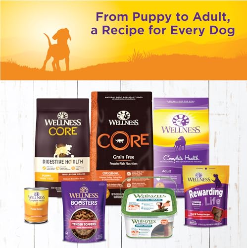 Image of Wellness Complete Health Pate Puppy Canned Wet Dog Food, Wholesome Grains, Natural, Chicken and Salmon Recipe, 12.5 oz, Pack of 12 Cans