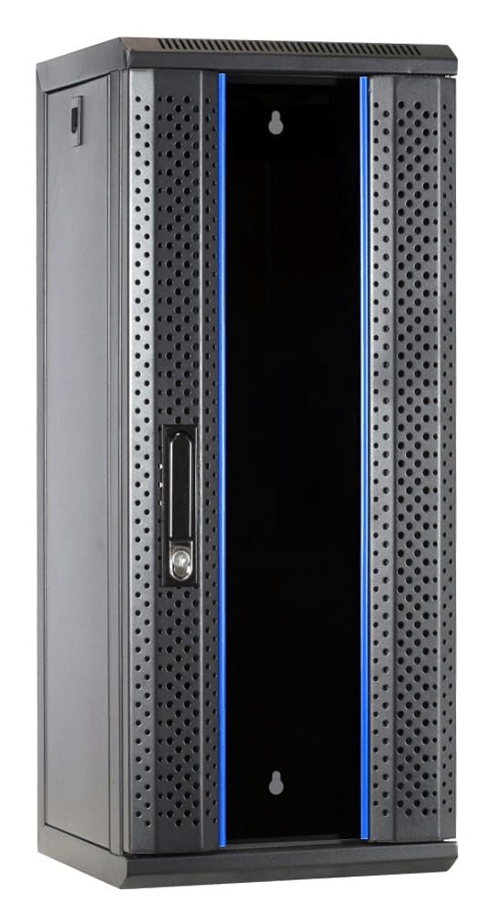 Baie de Serveur de 10 Pouces 15U avec Porte en Verre 312x310x752mm (LXPXH) - Noir - Verrouillable - pour la Maison et Le Bureau - Construction Robuste