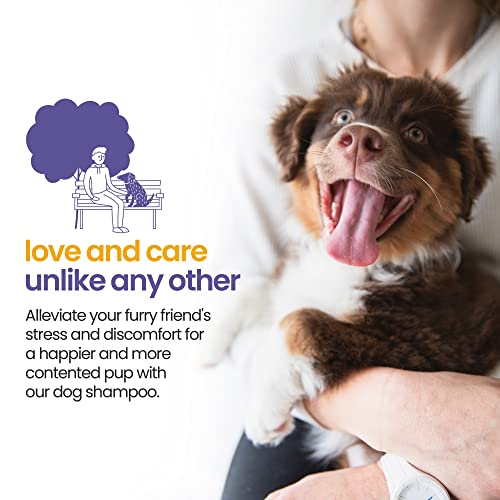 Lavender & Chamomile Aromatherapy Shampoo & Conditioner For Pets, Medicated Oatmeal Dog Shampoo & Pet Odor Eliminator โ 16 FL OZ (473 mL) Lavender & Chamomile Aromatherapy Shampoo & Conditioner For Pets, Medicated Oatmeal Dog Shampoo & Pet Odor Eliminator โ 16 FL OZ (473 mL)