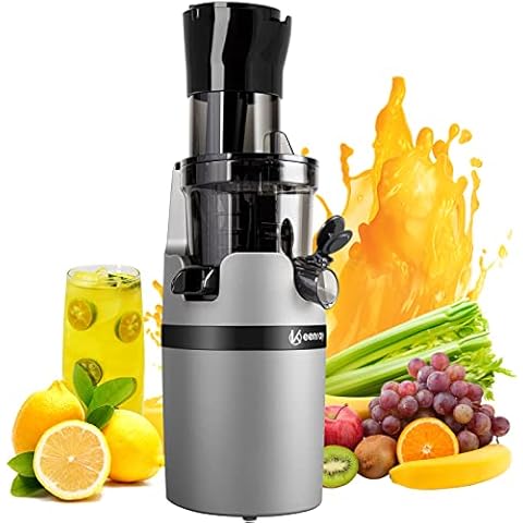 Slow Juicer Entsafter, Klein Gemüse und Obst Profi Entsafter Cover