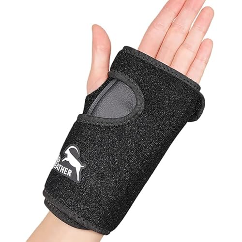 [hEFU[]  T|[^[ v[gŌŒ T|[^[ F≊ Œ P e[sO X|[c St ؃g g[jO (p)