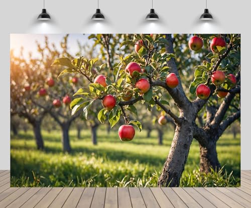 Fondo Fotográfico 7x5ft Manzanas Rojas Otoño miniatura 1