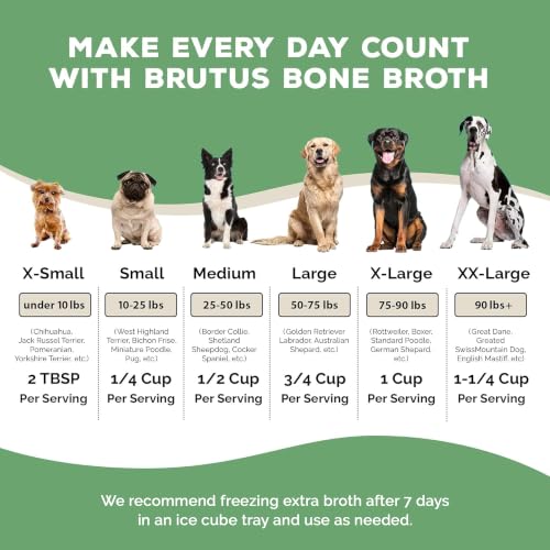 Image of Brutus Broth on the Go Instant Vegetable Broth Powder for Dogs - Human-Grade Food Topper with Omegas 3, 6 & 9 and Turmeric for Dry Food and Picky Eaters - Vegetable Flavor, 10 Sticks