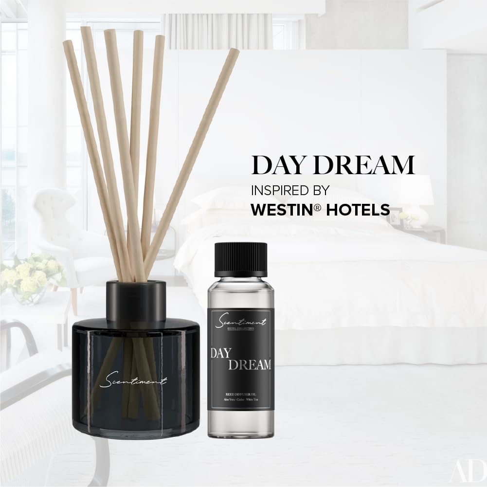 Scentiment Day Dream Reed Diffuser - Black Glass | 100ml | Long-Lasting Home Fragrance | Includes Reed Sticks & 120ml Day Dream Reed Diffuser Oil