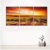 5. Wenn Sie mit dem Produkt nicht zufrieden sind, wenn Sie erhalten haben, kontaktieren Sie uns bitte zuerst, damit Sie es sofort lösen können. Ihre Zufriedenheit ist immer unser Ziel.