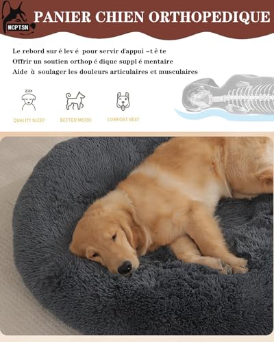 Coussin chiens lavable et antidérapant pour le salon familial - 4