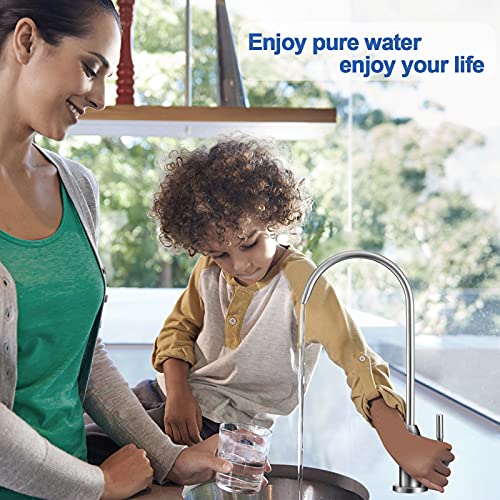 Purenat Reverse Osmosis/Ro Water Faucet,Lead-Free Drinking Water Faucet,Safe Water Filter Faucet,Brushed Filtered Water Faucet(304 Stainless Steel) For Kitchen Sink With 2 Size Of Quick Fittings #TOP4