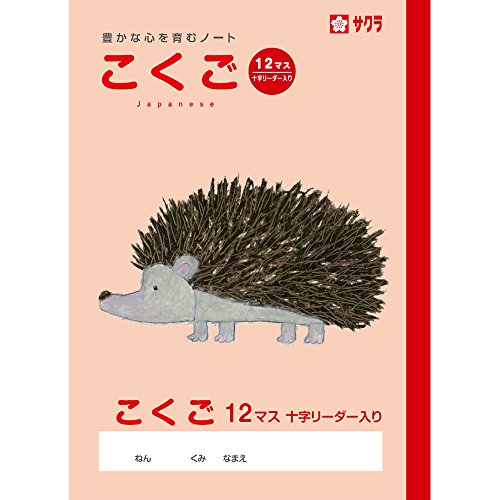 TNNpX wK  12}XR NP24(10) 10