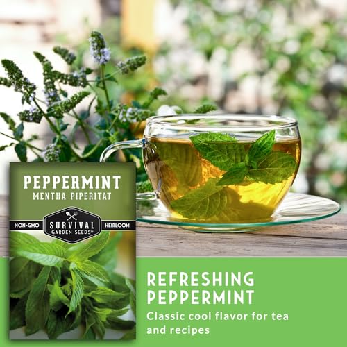 Survival Garden Seeds - Peppermint Seed for Planting - Mentha Piperita Packet with Instructions to Plant and Grow Delicious Mint in Your Home Herb or Vegetable Garden - Non-GMO Heirloom Variety - Image 6