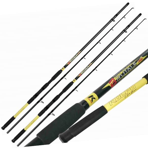 Canna Da Pesca Con Mulinello Anaconda MT.2.4 - Per Siluro, Carpa E Mare