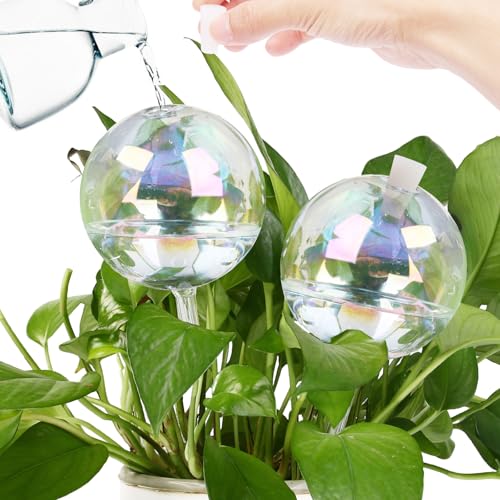 13 oz Up to 2 Weeks Large Self-Watering Plant Watering Globes, Self Watering Planter Insert, Glass Bulbs for Indoor & Outdoor Plants - Automatic Watering While Away or Vacation (Large 2-Pack)