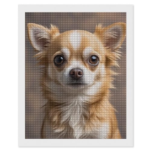 Kit peinture diamant 5D complet idée cadeau créatif adulte toile artisanale