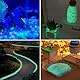 10000 Stück Leuchtsteine, 3-5 mm Edelsteine für Kinder Garten Dekorative Steine Leuchtende Steine Aquarium Steine Fluoreszierende Steine für Garten Aquarium Kinderzimmer Balkon Deko (Farbe)