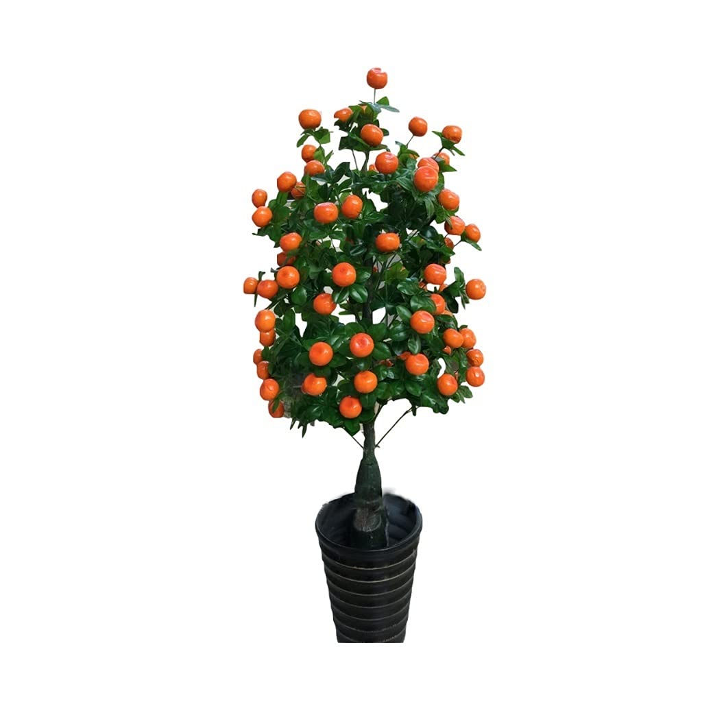 HCZKIUJY Simulation tree Fake Potted Kumquat Tree, Small Kumquat Tree, Fake Plant Decoration, Fake Green Bonsai Simulation Tree Plant