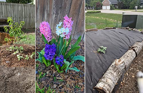 30 Qt Professional Grade Horticultural Organic Vermiculite (30 Qt, Vermiculite) #TOP3