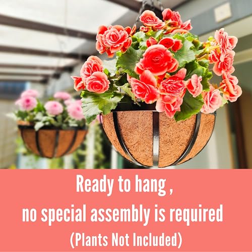 LaLaGreen Outdoor Hanging Baskets for Plants (6 Pack, 10 Inch) Small and Cute Wire Hanging Planters with Coco Liner, Black Metal Flat Iron Flower Pots for Deck Porch Patio Garden Balcony Outside Decor - Thumbnail 4