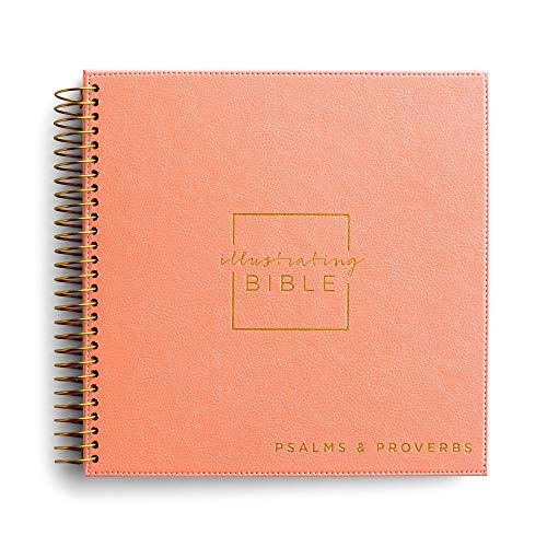 Illustrating Bible NIV: Books of Psalms & Proverbs Cover
