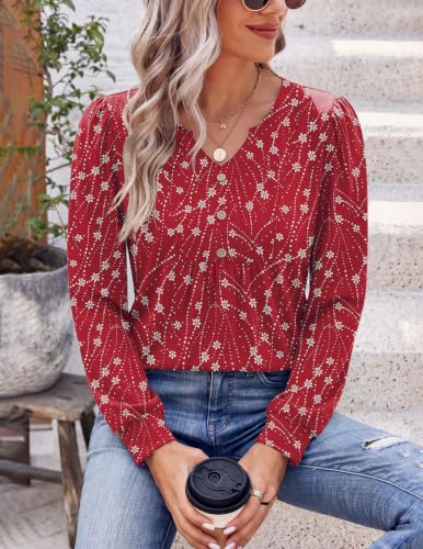 Image of Zeagoo Womens Long Sleeve Tops Fall V Neck Shirt Casual Pleated Tunic Top