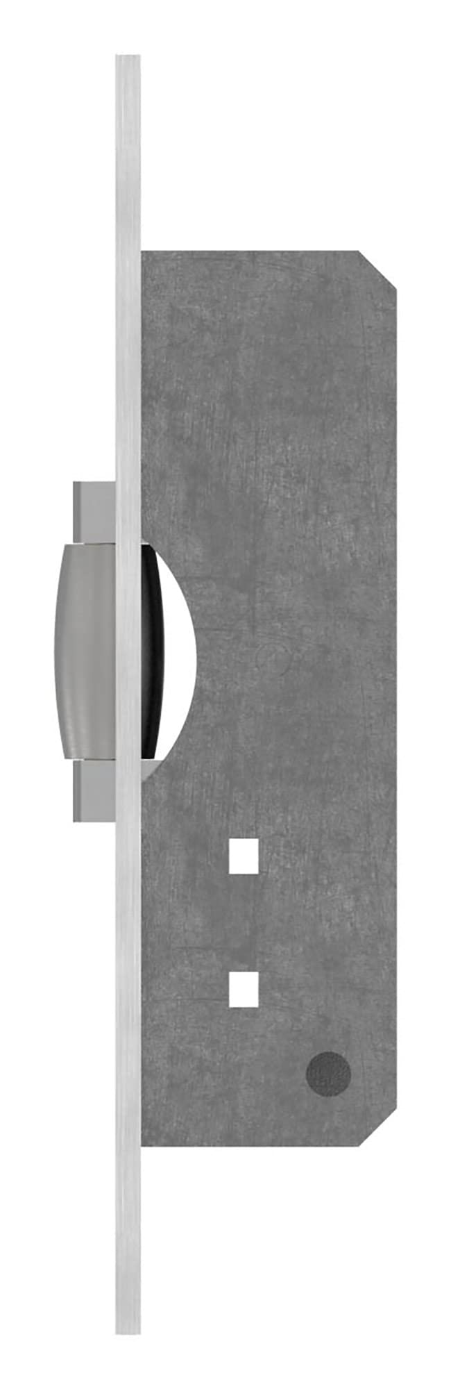 STEINBACHER© | cerradura de pestillo de puerta batiente, pestillo de rodillo +/- 2mm ajustable, acero inoxidable en la parte delantera