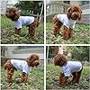 Lovelonglong Pet Clothing Dog Costumes Basic Blank T-Shirt Tee Shirts for Medium Large Dogs White XXL+ #5