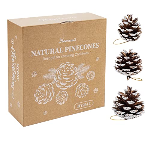 Homewit 50 Pièces Pommes de Pin 3-6CM Décorations De Pommes De Pin Noël, Cônes de Pin Naturel de Noël Décoration à Suspendre pour Sapin de Noël Christmas Decor pour Déco Bricolage Fête