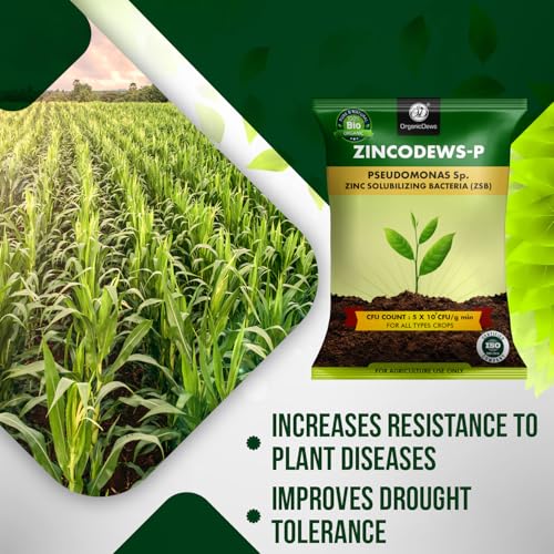 Image of OrganicDews Zinc Solublizing Bacteria Bio Fertilizer 250 g (5x10^7 CFU /g) for Plants - Soil Fertility, Faster Plant Growth and Increases the Yield 250 g