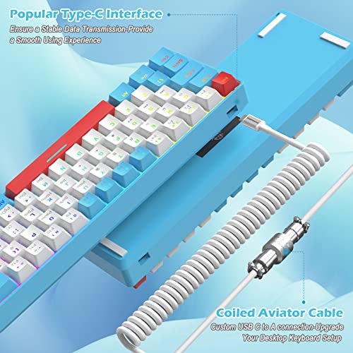 Ziyou Lang Rk-T60 Wired Mechanical Gaming Keyboard And Mouse Combo Mini Portable With Rainbow Backlit 62Key Nkro 6400Dpi Rgb Honeycomb Mice Coiled Aviator C Cable For Ps4/Pc/Win Gamer(Blue/Red Switch) #TOP4