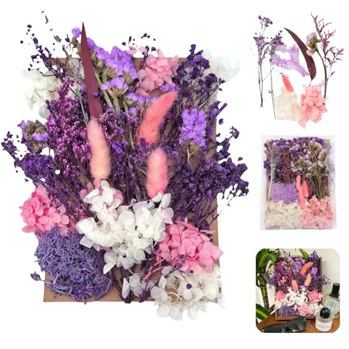 JiaaOne Natural Dried Flowers for Crafts, Premium Pressed Flowers with Cardboard Backing, Dry Flowers for Decoration, Craft Flowers Ideal for DIY, Resin Accessories, Wall Art, Gift Making (Purple)