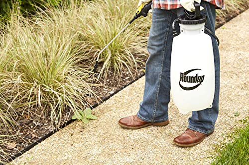 Spectracide Weed & Grass Killer Concentrate, Use On Driveways, Walkways And Around Trees & Flower Beds, 64 Fl Ounce & Roundup 190260 Lawn And Garden Sprayer, 2 Gallon #TOP6