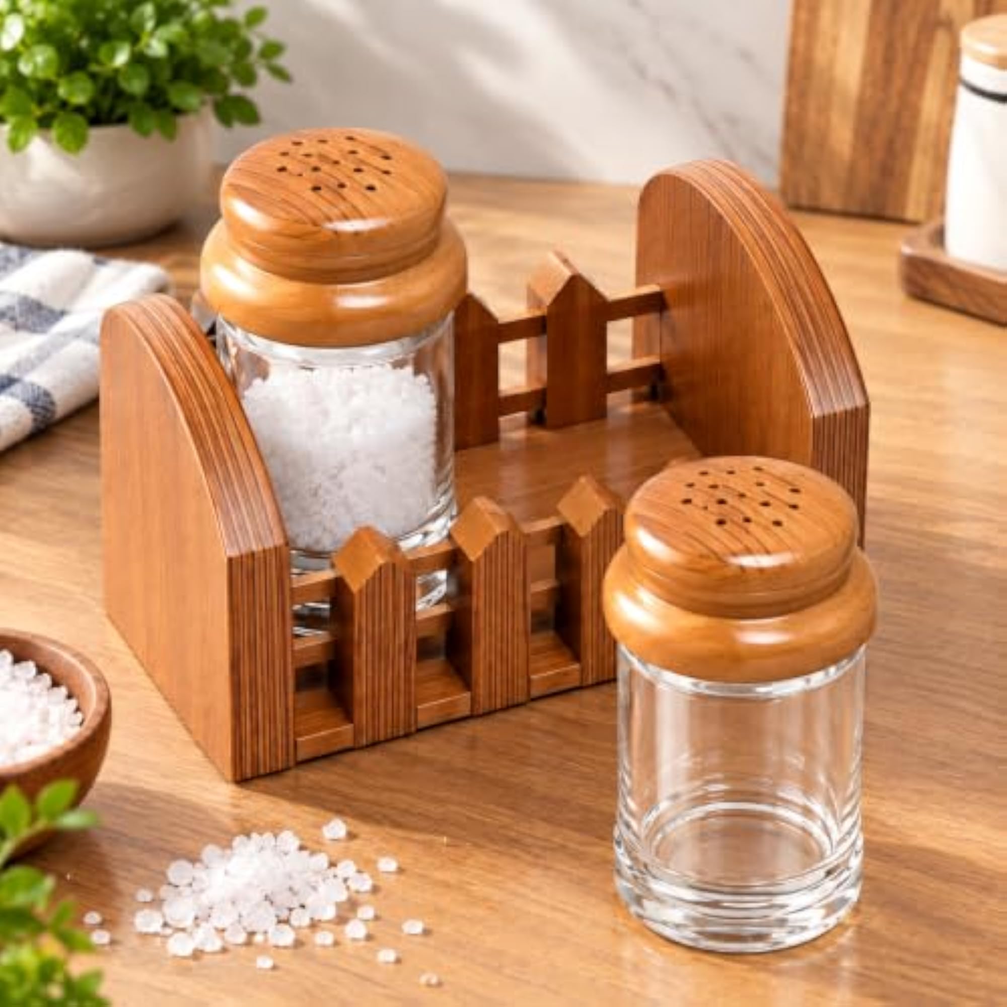 2-Piece Glass Salt and Pepper Shaker Set with Holder