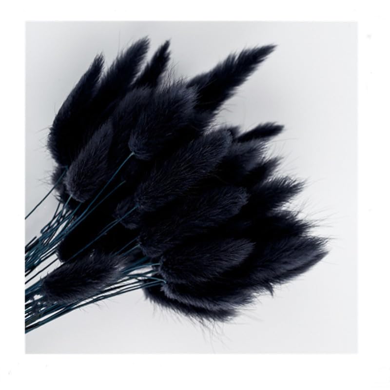 Pampas Grass Large Fluffy Black 10 pcs miniatura 5