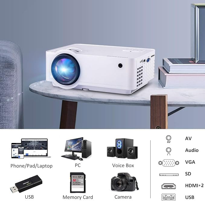 Diagram showing various input ports on the projector and compatible devices.