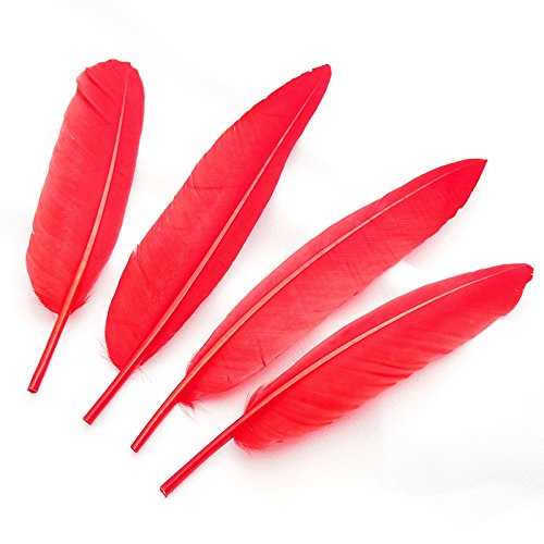 Amazon.co.jp: 【羽】グース・クイル 4本 [024-Qu-03] レッド/フェザー