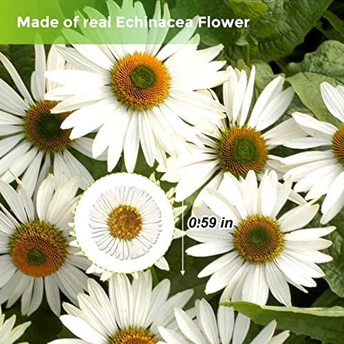 60 flores secas de crisantemo para manualidades miniatura 2