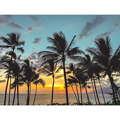 Steven Joins To Talk About Spartan Racing cover art