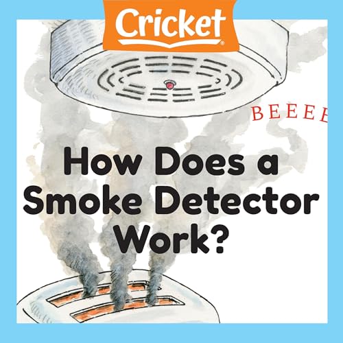 How Does a Smoke Detector Work? by Liz Huyck episode artwork