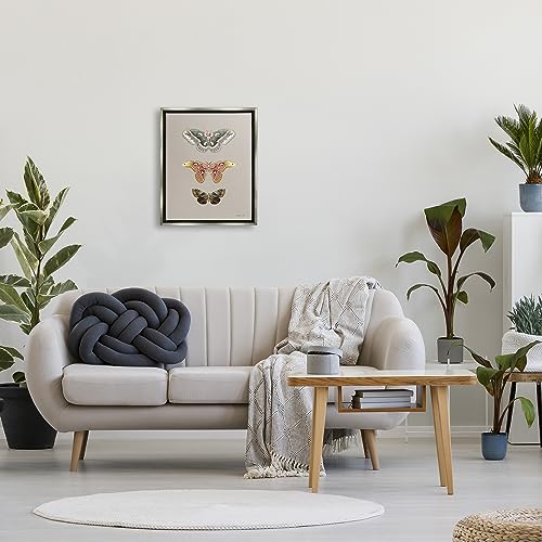 Image of Vintage Moth Specimens Nature, 16 x 20 Inch Canvas in Floater Frame | Stupell Industries . By Danhui Nai . Ready to hang . Printed in Johnston . Rhode Island . Made in USA