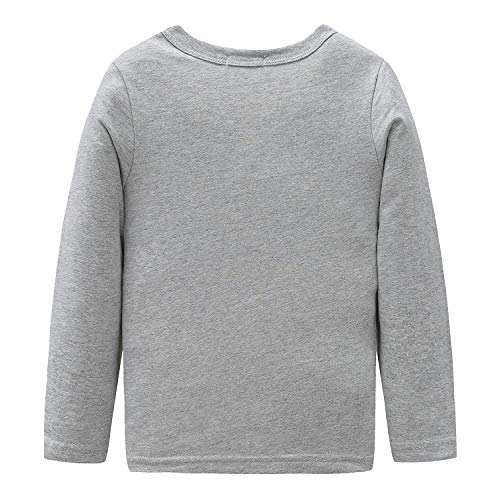 HowJoJo Boys Dinosaur T Shirts Cotton Long Sleeve Shirt Graphic Tees2