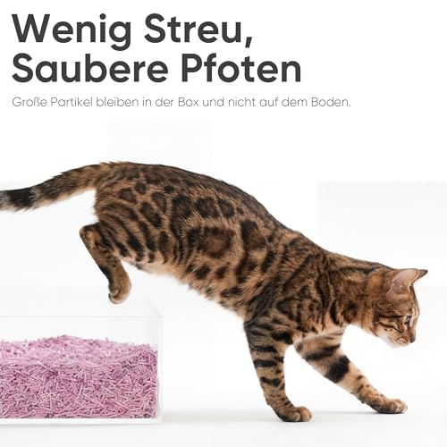 FUKUMARU Tofu Katzenstreu 5, 4 kg- Klumpendes Katzenstreu, Geruchsbekämpfung mit Lavendelduft, staubfrei und leicht klumpend, spülbar in der Toilette-8