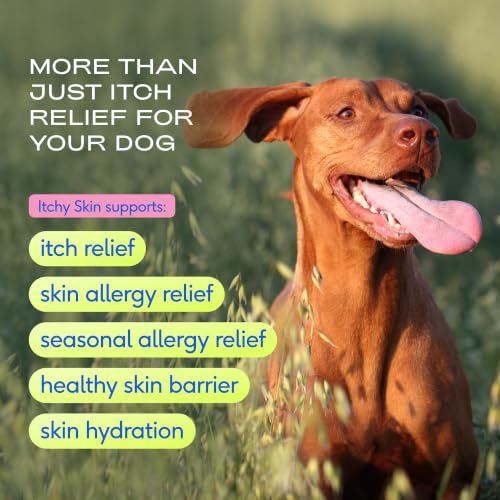 GutWell Itchy Skin Dog Itching Relief & Allergy Relief, 120 Scoops - image 2