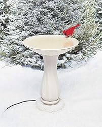 The Best Bird Bath Models for Winter