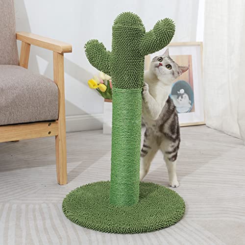 pets best indoor cat homes your feline friends will love