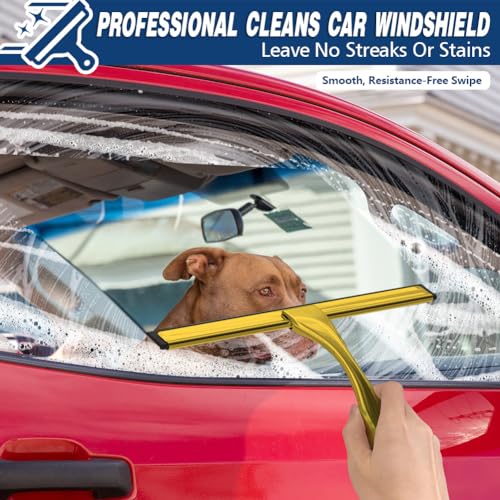 Image of All-Purpose Shower Squeegee for Shower Glass Door with 3 Adhesive Hooks, Stainless Steel Shower Door Squeegee for Bathroom, Household Window, Car Windshield, Mirrors, Tiles Clear, 12 inch, Golden