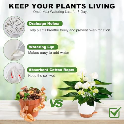 Image of INKULTURE Flower Pot for Indoor Plants - Self Watering Plant Pot Set of 5, Multi Size Plastic Planter with Drainage Hole & Watering Lip (7 /6.5 /6 /5.5 /5 Inch) White | Pots for Home, Office & Succulents