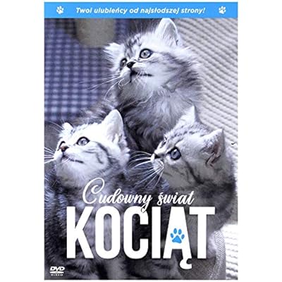 The Secret Life of Kittens