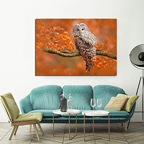 Peinture diamant chouette 5D XL pour chasser le stress et créer une belle décoration de chambre