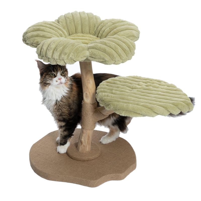 TIAKI Nature Kratzbaum Flora | Kompakter Kratzbaum für Katzen | gepolstertes Kuschelbett mit gewölbten Blütenblättern | mit Sisal umwickelter Holz-Stamm | Höhe: 63cm