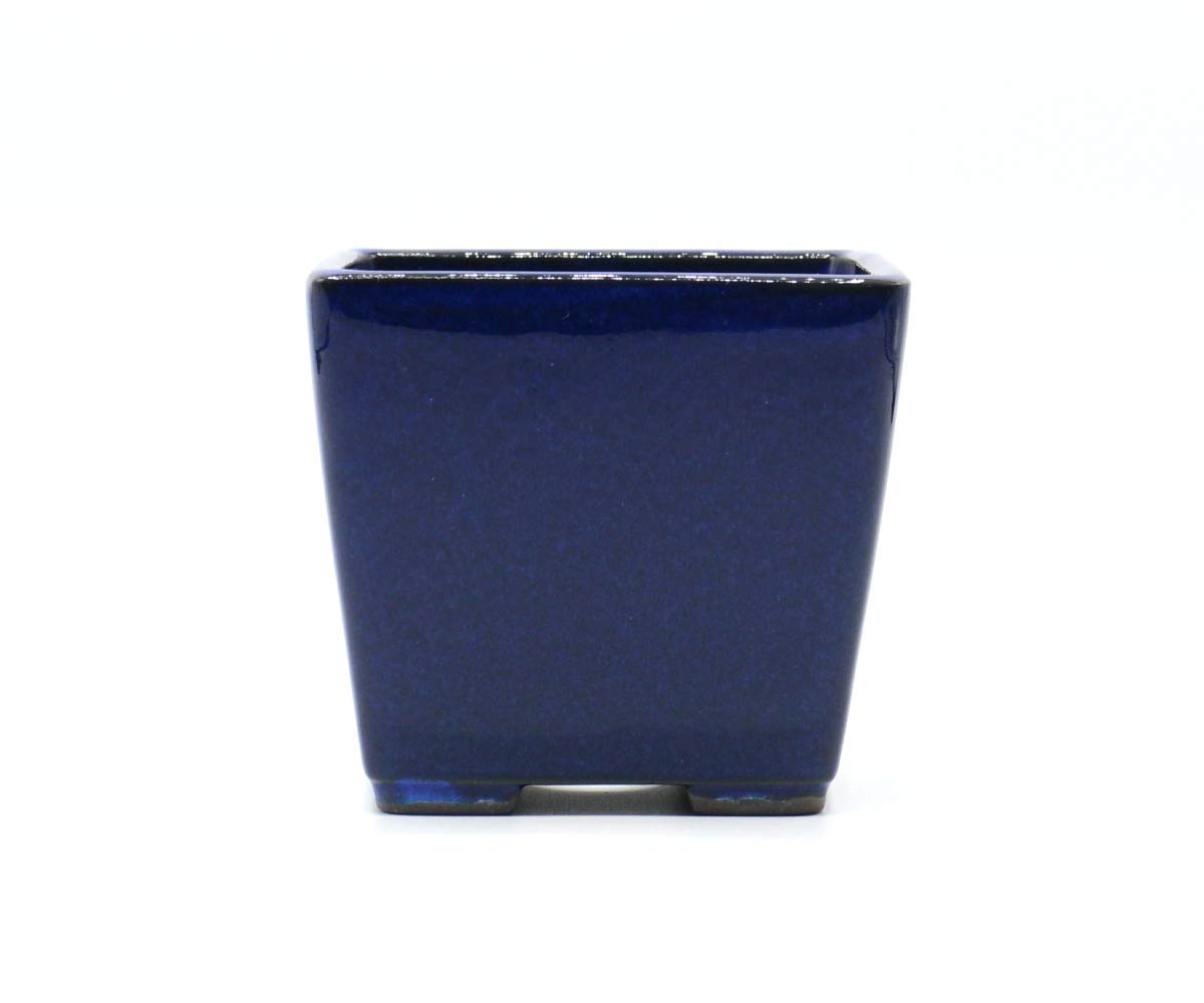 Seto Yaki Bonsai Tree Pot Ceramic Square Shaped (3.5", Namako-Yu)