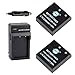 DSTEĀ® 2PCS BP-DC8 Rechargeable Li-ion Battery + Travel & Car Charger DC29 for Leica MINI-M X-VARIO X1 X2 Camera