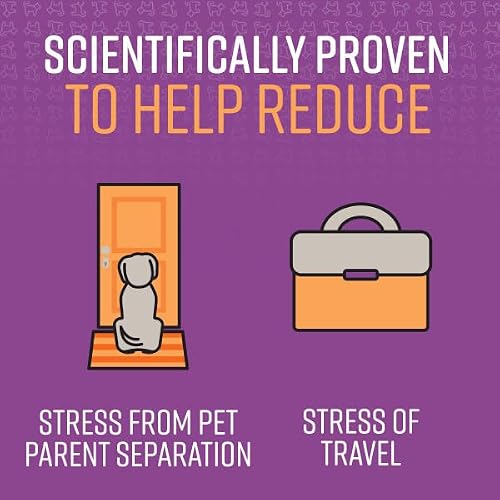 SENTRY PET Care Sentry Calming Spray for Dogs, Uses Pheromones to Reduce Stress, Easy Spray Application, Helps Dogs with Separation, Travel, Loud Noises, and Anxiety, Packaging May Vary - Thumbnail 4